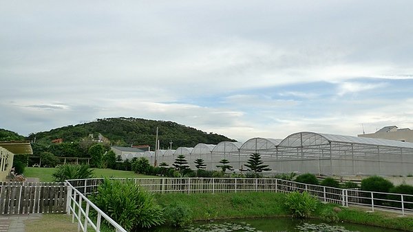 P1050242-1.JPG