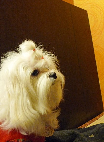 P1070504-1.JPG