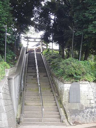 DSC03211
