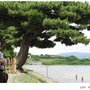 嵐山_渡月橋街道23.JPG