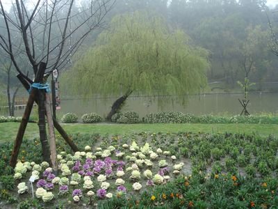 清境DAY2-12_小瑞士花園.JPG