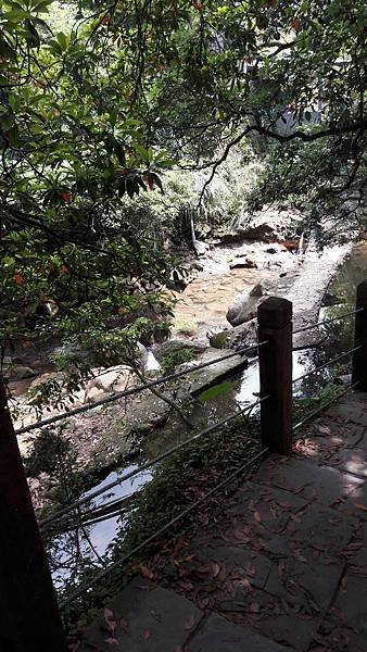 20170609_103629.jpg