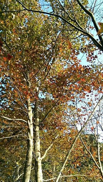 IMAG0215[1]