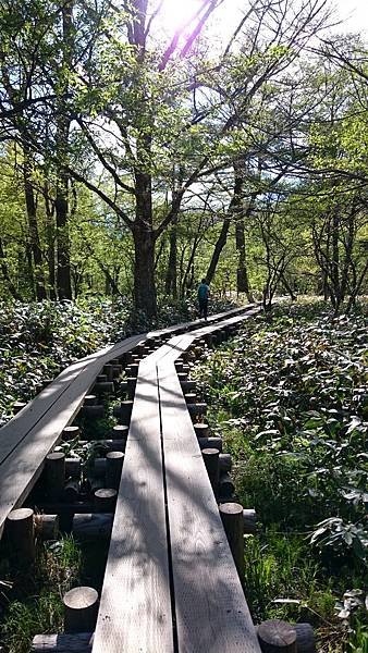 DSC_4168.JPG