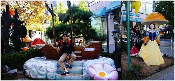 DSC08387_meitu_5