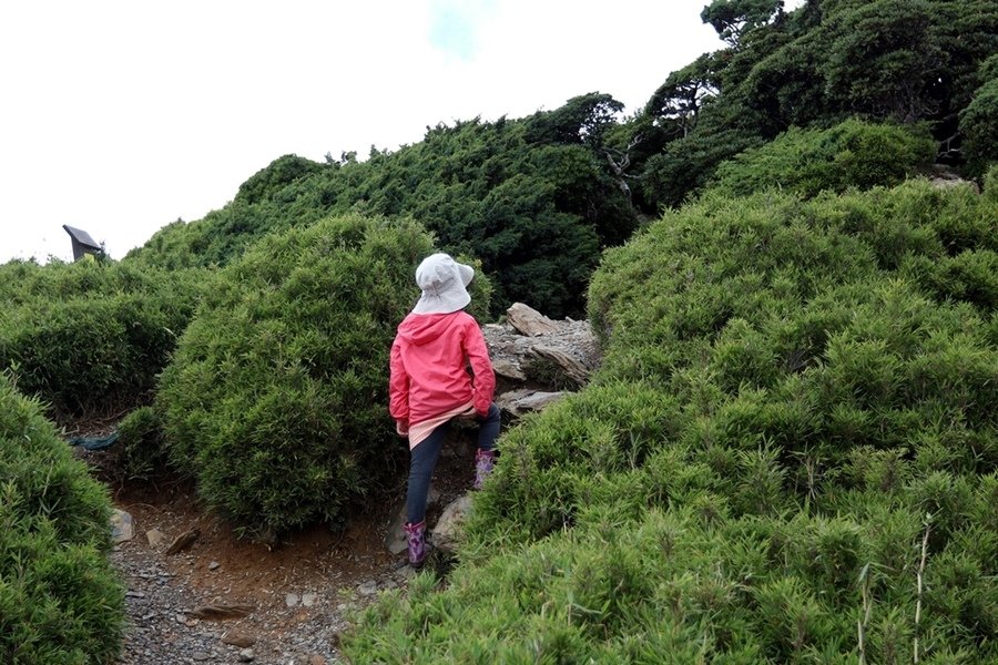 【合歡山】合歡東峰。遊樂場