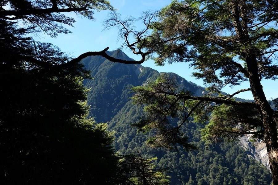 【南橫三星】有點不完美的塔關山之行