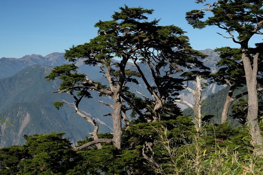 【南橫三星】有點不完美的塔關山之行