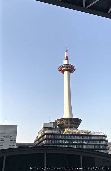 IMG_4401.jpg