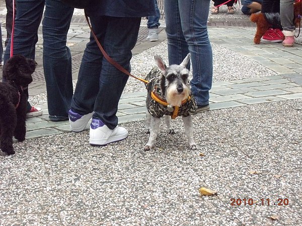DSCN5600.JPG