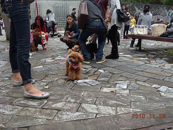 DSCN5590.JPG
