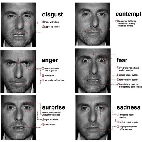 expression emotion -toefl.jpg