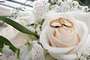 南港求婚、提親、訂婚、結婚媒人婆