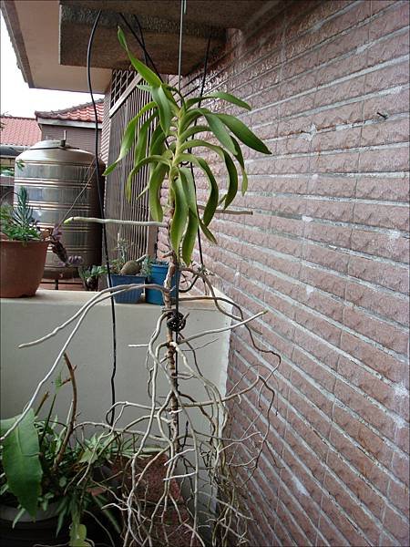 DSC01284.JPG