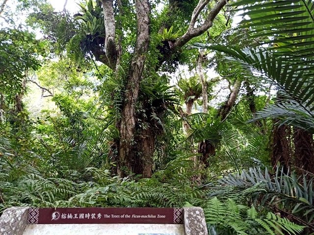 IMG20180705152519.jpg