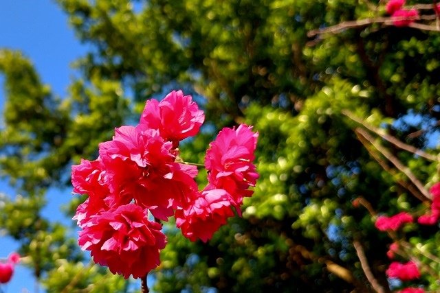 IMG20220227161335.jpg