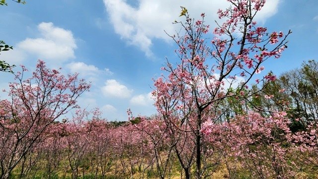 秀才步道_230313_21.jpg