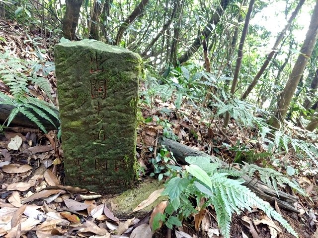 IMG20230527092127.jpg