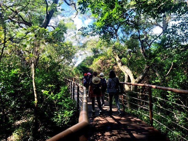 【新北】陽光和煦的淡水金色水岸輕旅行，尋找阿給美食和老街風情