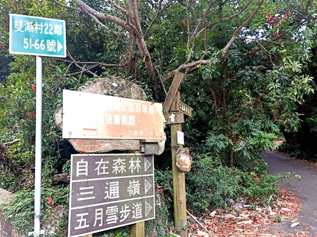 【苗栗】挑炭古道與慈濟茶園之美