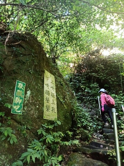 【苗栗】隱匿在山脈中的冷門古道探險：楔隘古道（錫隘古道）