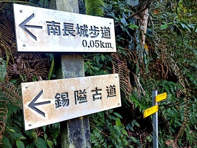 【苗栗】隱匿在山脈中的冷門古道探險：楔隘古道（錫隘古道）