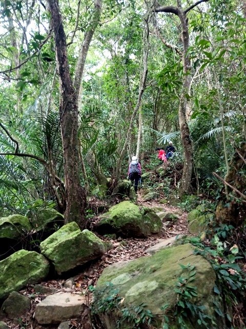 【新竹】有趣的登山經驗，關西赤柯山－赤柯山南峰－東獅頭山三連