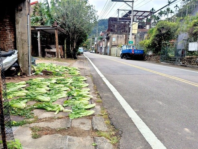 【新竹】有趣的登山經驗，關西赤柯山－赤柯山南峰－東獅頭山三連