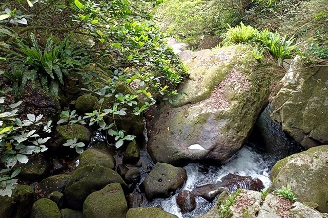 【新竹內灣】三訪馬胎古道：不同朋友、不同歡樂
