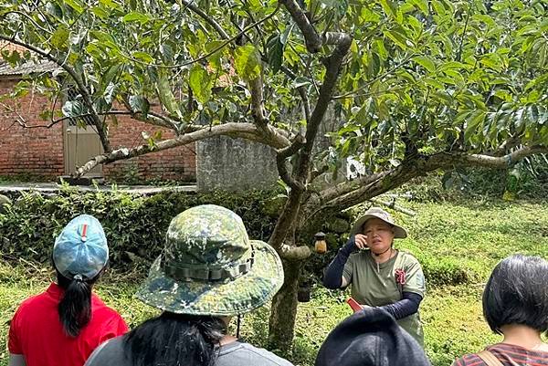 【新竹】柿子全食養生料理在柿藥園