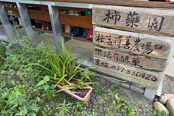 【新竹】柿子全食養生料理在柿藥園