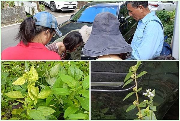 【新竹】柿子全食養生料理在柿藥園