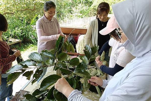 【新竹】柿子全食養生料理在柿藥園