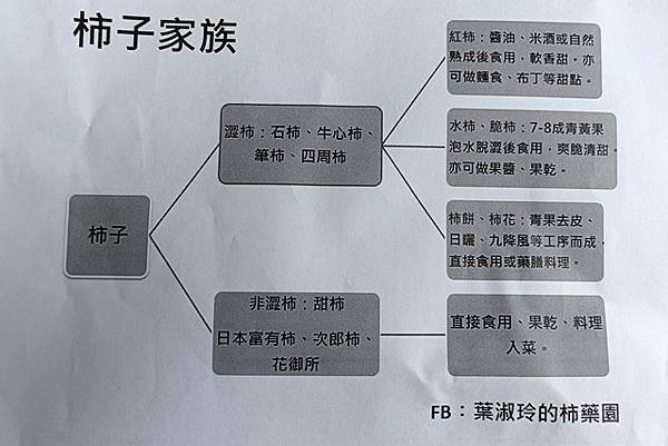 【新竹】柿子全食養生料理在柿藥園