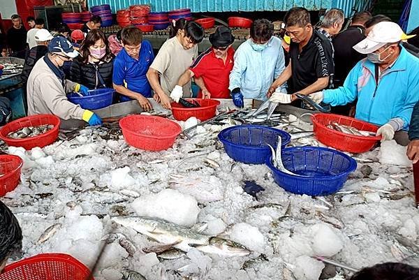 【新竹】香山半日遊：明發定置漁場、九降風烏魚子、五代造船廠