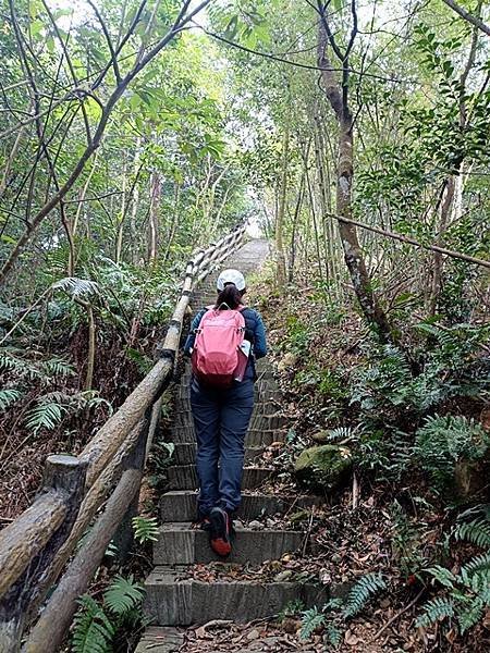 【新竹關西】離線地圖失效，另類的迷宮，黃刧步道上兜圈子