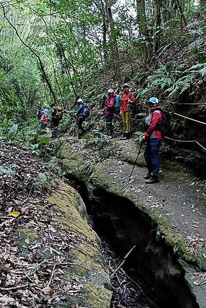 【苗栗西湖】走進龍王峽谷，感受千年時光雕刻的奇幻路徑