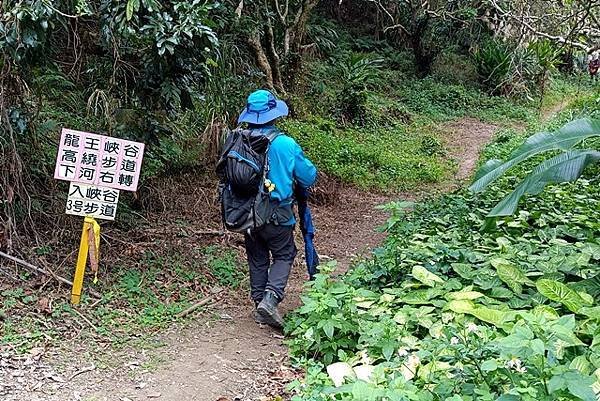 【苗栗西湖】走進龍王峽谷，感受千年時光雕刻的奇幻路徑