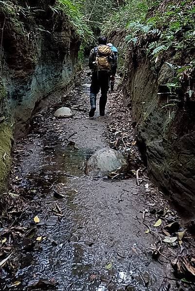 【苗栗西湖】走進龍王峽谷，感受千年時光雕刻的奇幻路徑