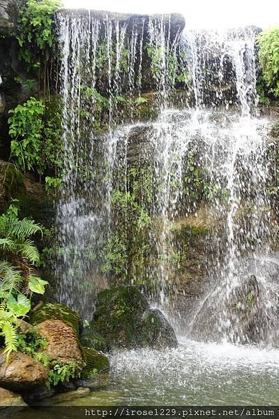 DSC01080