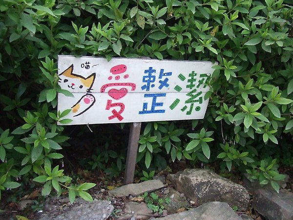 20100327金瓜石爬山猴狪喵喵 154.JPG