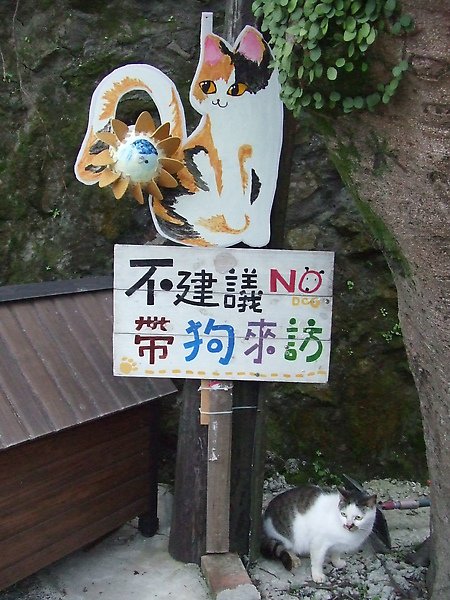 20100327金瓜石爬山猴狪喵喵 173.JPG