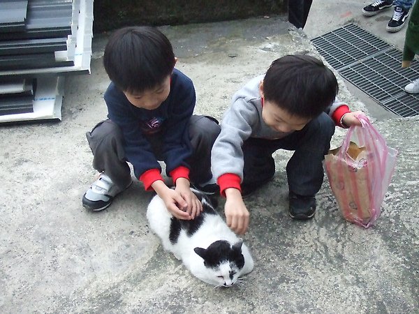 20100327金瓜石爬山猴狪喵喵 182.JPG