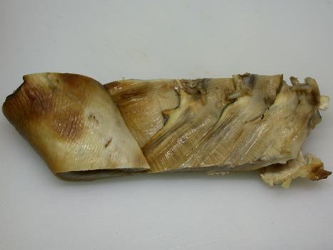 延三鯊魚-魚皮肉.jpg