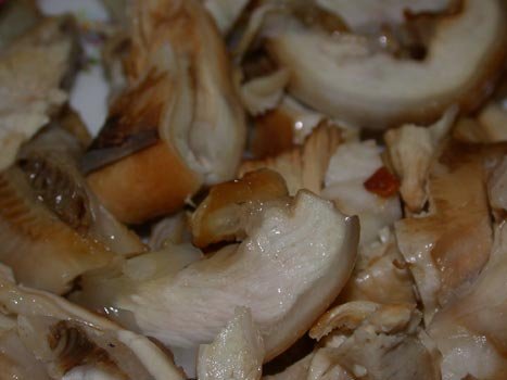 延三鯊魚-魚鰓肉特寫.jpg