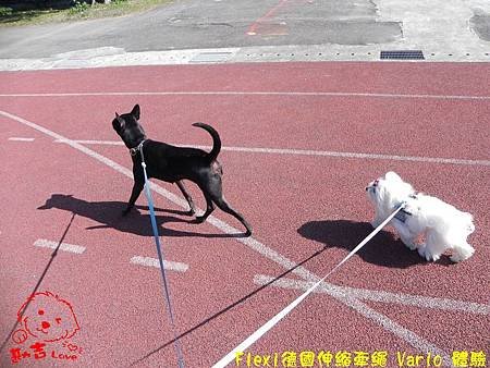 nEO_IMG_DSCN5173.jpg