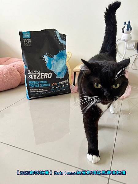 ｛2025飼料推薦｝Nutrience紐崔斯頂級黑鑽凍乾糧_