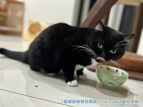 ｛貓咪副食餐包開箱｝Cat&apos;s taste貓可滋味_從幼貓到