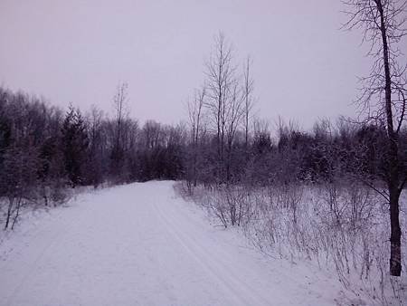 IMG_20160108_074754.jpg