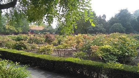 IMG_20171015_140411.jpg